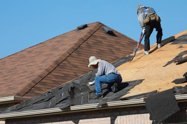 Best Asphalt Shingles Roofing  in Geneva, FL
